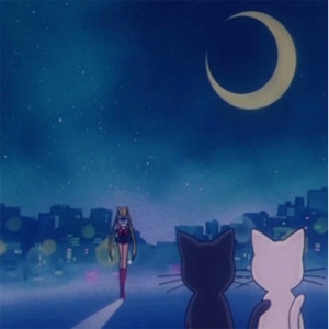 青青免费网站免费观看
