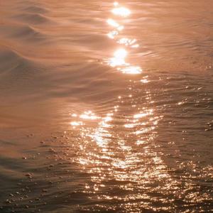 青青免费网站免费观看
