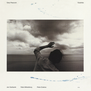 青青免费网站免费观看
